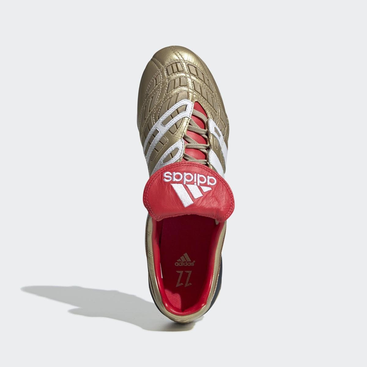 Chuteira Campo Predator Accel Fg Zz Adidas | Loja SAO Store