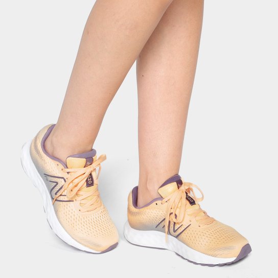 Tênis New Balance 520 V'8 Feminino