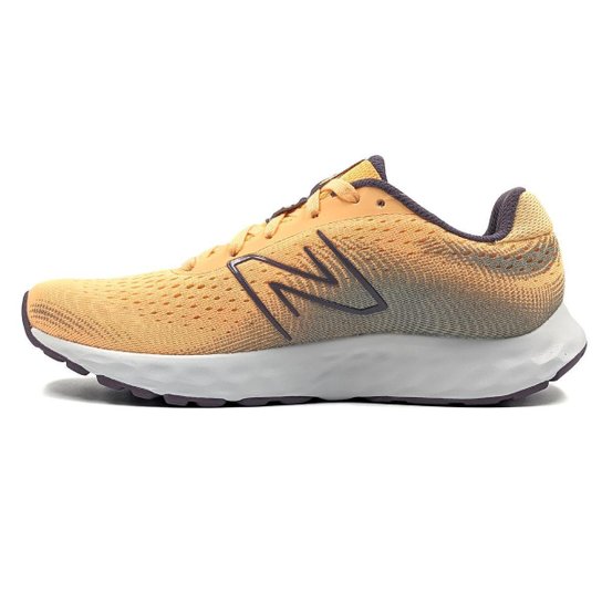 Tênis New Balance 520v8 Feminino